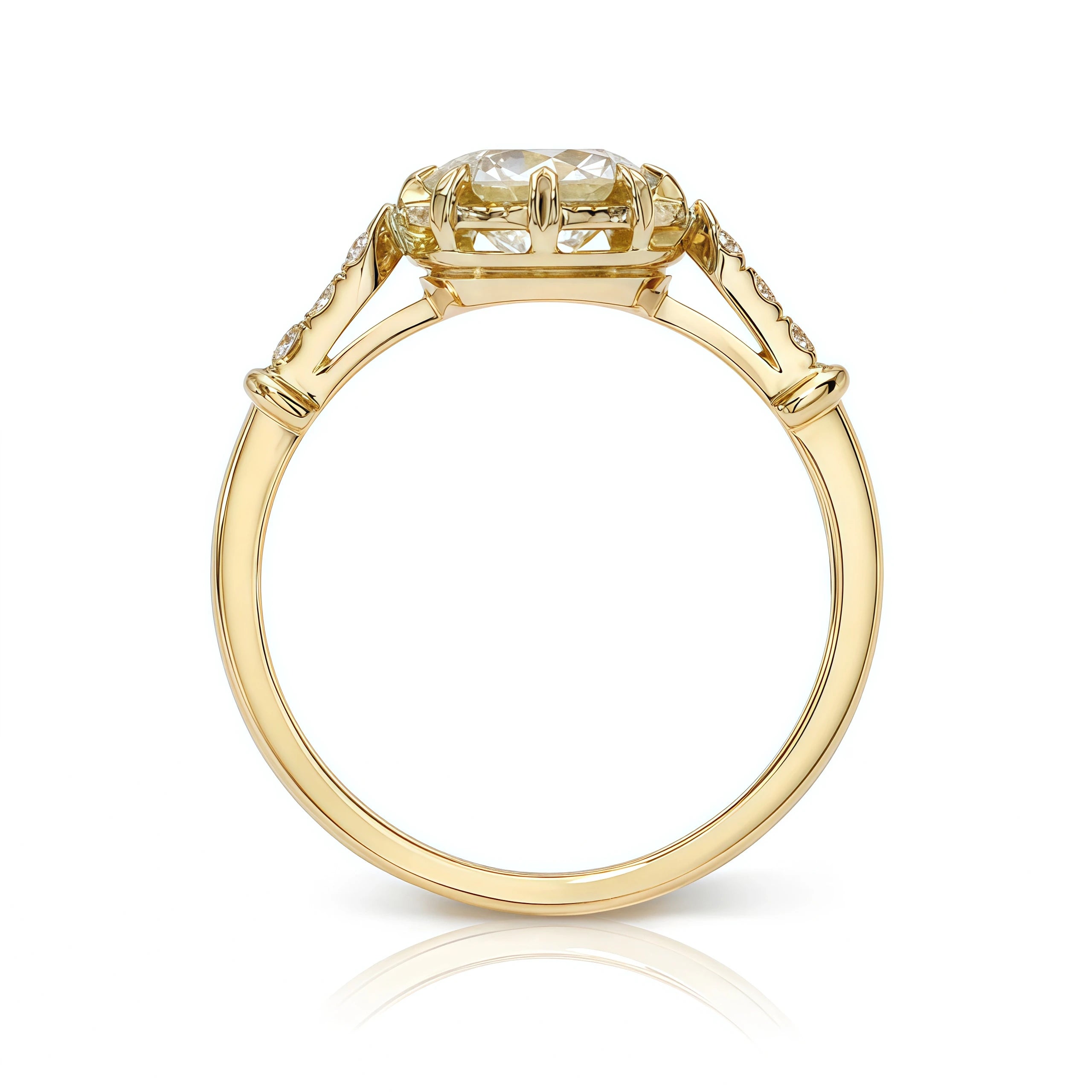 The OEC Heirloom Collection